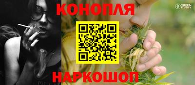 Альфа ПВП Пушкино