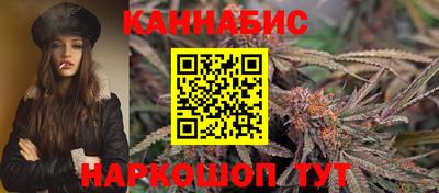Альфа ПВП Пушкино