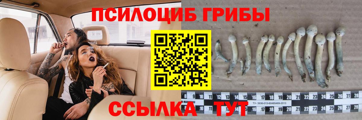 купить закладку  Псилоцибиновые грибы Cubensis  Вход с VPN  Галлюциногенные грибы Psilocybine cubensis  Реутов 