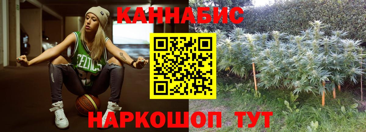 Бошки марихуана сатива  Вход с VPN  Бошки марихуана план  Бошки Шишки OG Kush  Реутов 